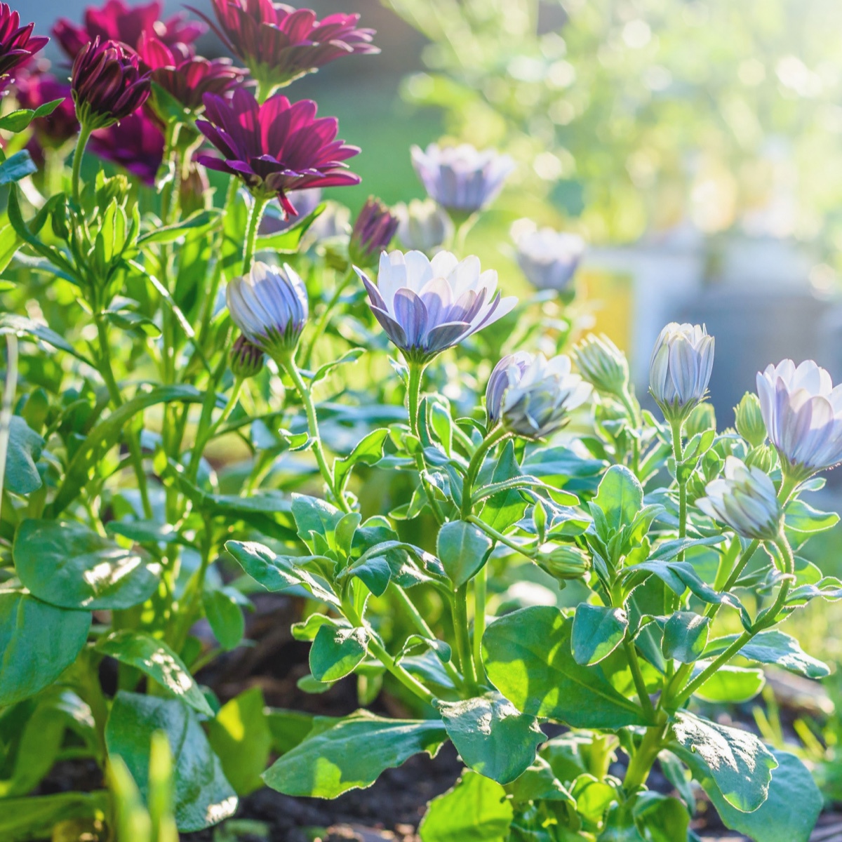 Waste Landfill Reduction